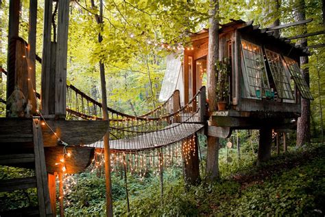 A Stay to Remember: Mafic Tree House 16 Experiences